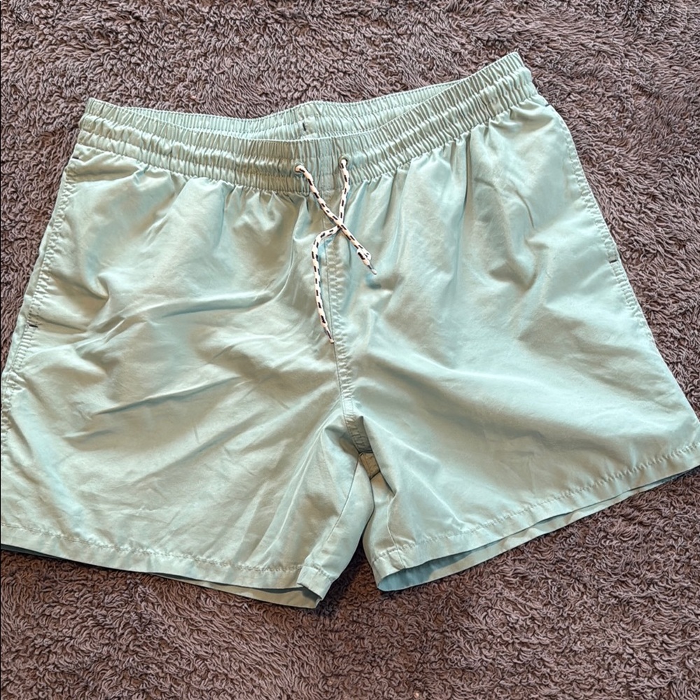 Mint Green Swiml Shorts